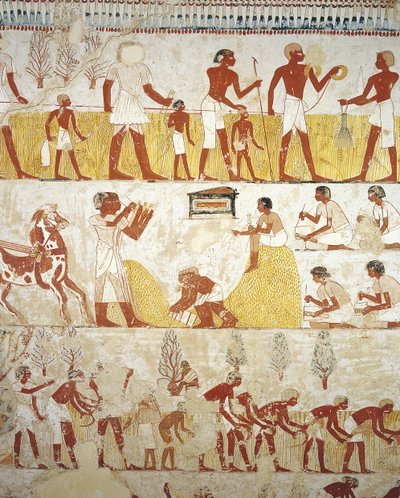 Tomb of Royal Estate Supervisor Menna, Vestibule, Mural Paintings, Working in Fields by Egyptian 18th Dynasty