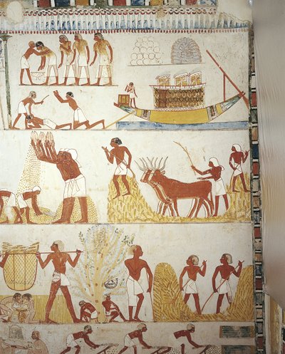 Mural Paintings of Working in Fields, Tomb of Royal Estate Supervisor Menna, Sheikh 