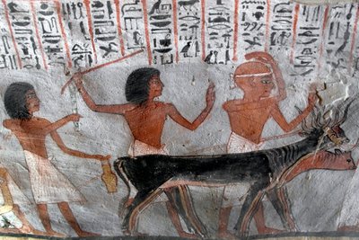 Characters leading betail heads by Egyptian 18th Dynasty