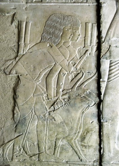 Egyptian antiquity: connects from the tomb of Kha em Het, inspector of attics and scribe to the court of Amenophis III representing men offering beet heads as an offering. 18th dynasty. Luxor, West Bank, Egypt by Egyptian 18th Dynasty