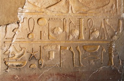Detail of an Inscription with Cartridge and Hieroglyphs Representing Long Life and Prosperity by Egyptian 18th Dynasty