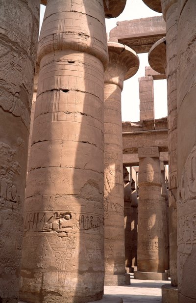 View of the columns of the hypostyle room of the Temple of Amon, Karnak, Luxor, Egypt by Egyptian 18th Dynasty