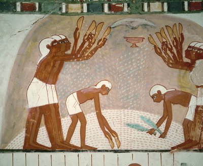 Farmers winnowing grain by Egyptian 18th Dynasty