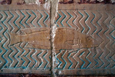 Fish, scenes of Punt kingdom, south wall of central colonnade, Mortuary Temple of Hatshepsut, Deir el-Bahari, Theban Necropolis (UNESCO World Heritage List) by Egyptian 18th Dynasty