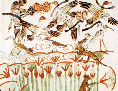 Fishing and fowling in the marshes, detail of the birds, from the Tomb Chapel of Menna, New Kingdom (wall painting) by Egyptian 18th Dynasty