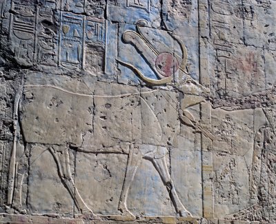 Goddess Hathor in Form of Sacred Cow, Painted Relief, Chapel of Hathor, Mortuary Temple of Queen Hatshepsut, also Known as Djeser-Djeseru, Deir el-Bahri, Thebes by Egyptian 18th Dynasty