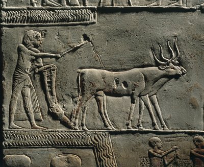 Horemheb ploughing land in the Fields of Iaru. Relief from the tomb of Horemheb at Saqqara (detail) by Egyptian 18th Dynasty