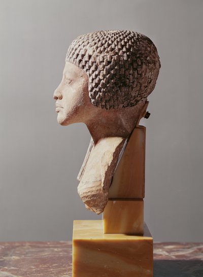 Left profile of the head of a Princess from the family of Akhenaten, New Kingdom (painted limestone) by Egyptian 18th Dynasty
