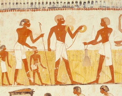 Measuring the Land Using Rope, from the Tomb Chapel of Menna, New Kingdom by Egyptian 18th Dynasty