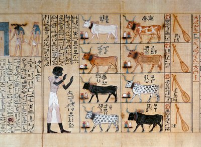Papyrus Depicting Oxen, from Book of the Dead of Maiherperi by Egyptian 18th Dynasty