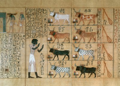 Papyrus depicting oxen, from Book of the Dead of Maiherperi by Egyptian 18th Dynasty