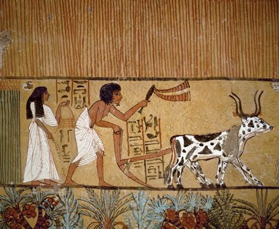 Peasant couple ploughing by Egyptian 18th Dynasty