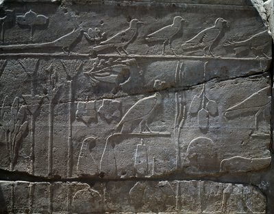 Plants and animals brought back from Thutmose III