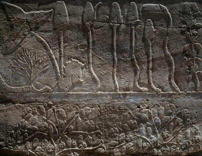 Plants Brought Back from Thutmose III