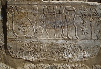 Relief of Animals and Plants Offered to Amun by Thutmose III upon His Return from Campaign of Syria in 1465 BC, Botanical Garden Room, Karnak, Theban Necropolis, Luxor, Egypt, New Kingdom, Dynasty XVIII by Egyptian 18th Dynasty