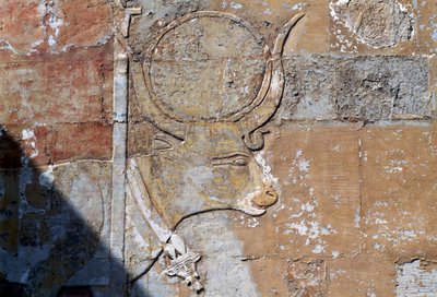 Relief with Hathor as sacred cow, Mortuary Temple of Hatshepsut, Deir el-Bahari, Theban Necropolis by Egyptian 18th Dynasty