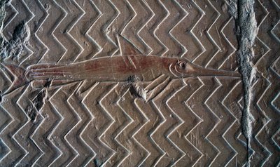 Representation of fish, scenes of Kingdom of Punt, south wall of central colonnade, Mortuary Temple of Hatshepsut, Deir el-Bahari, Luxor, Thebes (Unesco World Heritage List) by Egyptian 18th Dynasty