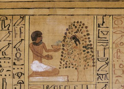 Tree-goddess offers vivifying waters to the deceased by Egyptian 18th Dynasty