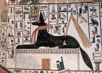 Anubis Tomb Nefertari by Egyptian 19th Dynasty