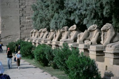Avenue of ram-headed sphinxes lining the Processional Way to the Great Temple of Amun, New Kingdom by Egyptian 19th Dynasty