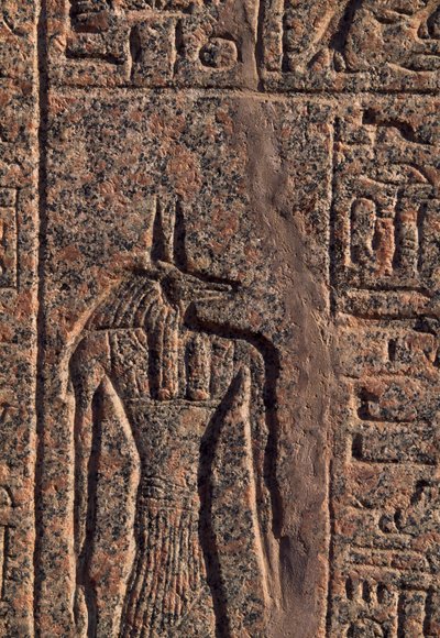 Depiction of Anubis, (detail), Amenhotep
