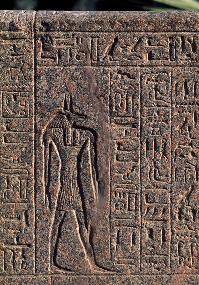 Depiction of Anubis (detail) by Egyptian 19th Dynasty