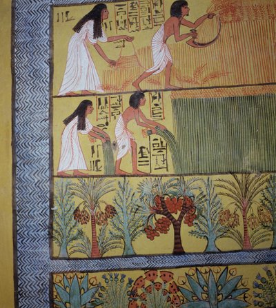 Detail of a harvest scene on the East Wall, from the Tomb of Sennedjem, The Workers Village, New Kingdom by Egyptian 19th Dynasty