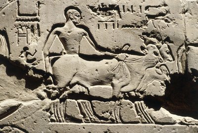 Courtyard of Ramses II, Luxor Temple, New Kingdom, Dynasty XIX by Egyptian 19th Dynasty