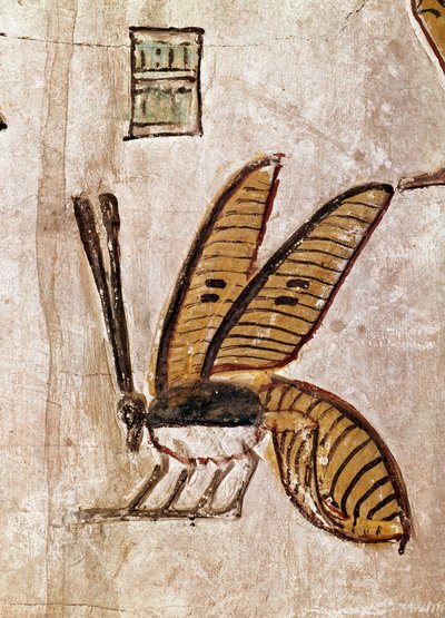 Tomb of Sethi I (Detail) by Egyptian 19th Dynasty