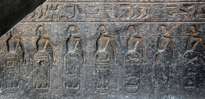 Detail of a relief decorating the emblems of the territories conquered by Pharaoh Ramses II. Temple of Luxor, East Bank (Thebes), Egypt by Egyptian 19th Dynasty