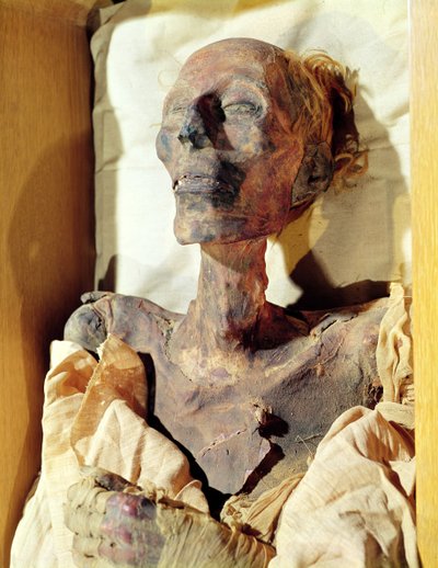Mummified body of Ramesses II found in a tomb at Deir al-Bahri by Egyptian 19th Dynasty