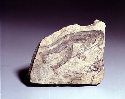 Ostracon with a Figure of a Monkey Playing a Flute by Egyptian 19th Dynasty