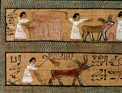 Reaping and Ploughing, Detail from a Depiction of Farming Activities in the Afterlife, from the Book of the Dead of the Scribe Any by Egyptian 19th Dynasty