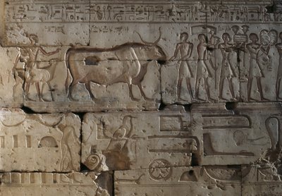 Relief, Temple of Ramses II, Abydos, Egypt by Egyptian 19th Dynasty