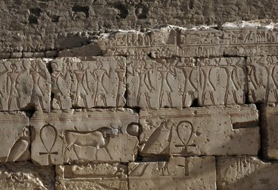 Relief, Temple of Ramses II, Abydos, Egypt by Egyptian 19th Dynasty