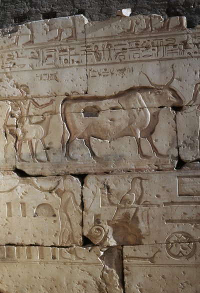 Relief, Temple of Ramses II, Abydos, Egypt, New Kingdom, Dynasty XIX by Egyptian 19th Dynasty