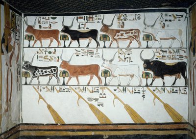 Seven Celestial Cows, Husband Bull and Four Steering Oars (detail) by Egyptian 19th Dynasty