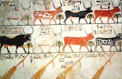 The seven celestial cows and the sacred bull and the four rudders of heaven, from the Tomb of Nefertari, New Kingdom by Egyptian 19th Dynasty