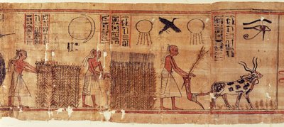 Book of the Dead of Neb-Hepet (detail of the fields) by Egyptian 21st Dynasty
