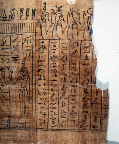 The Book of the Dead: Egyptian hieroglyph on a papyrus of the 22nd dynasty. (detail) by Egyptian 22nd Dynasty