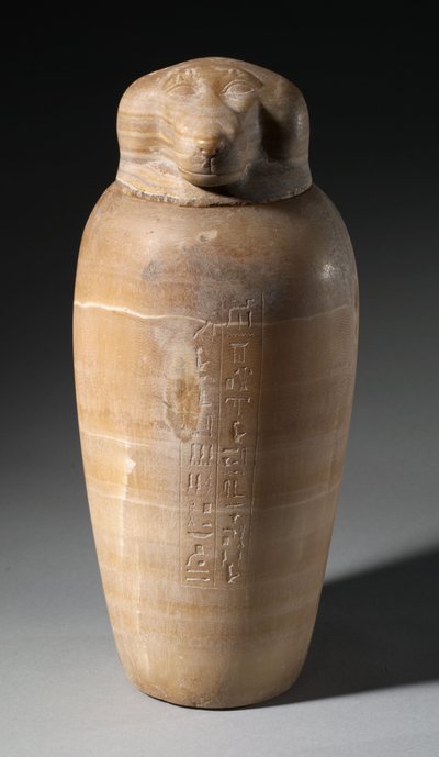 Canopic Jar with Baboon
