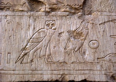 Egyptian antiquity: relief representing an owl and an eagle. Tomb of Ankh-Hor by Egyptian 26th Dynasty