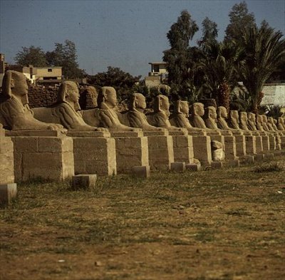 Avenue of Sphinxes, added by Nectanebo I by Egyptian 30th Dynasty