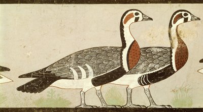 Meidum geese, from the Tomb of Nefermaat and Atet, Old Kingdom, c.2620 BC by Egyptian 4th Dynasty