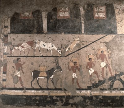 Agricultural Scene, Wall Painting Removed from the Mastaba of Ti at Sakkara, Old Kingdom by Egyptian 5th Dynasty