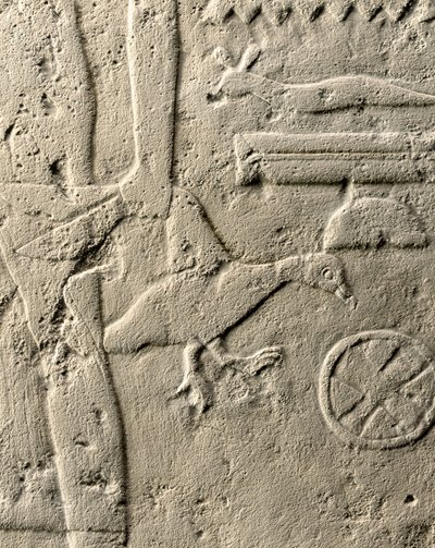 Detail of relief of Pehenuka by Egyptian 5th Dynasty