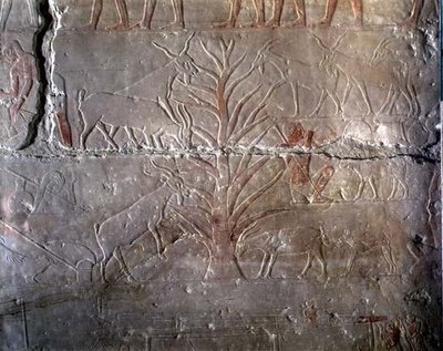 Goats eating a bush, relief from the Mastaba of Akhethotep at Saqqara, Old Kingdom by Egyptian 5th Dynasty