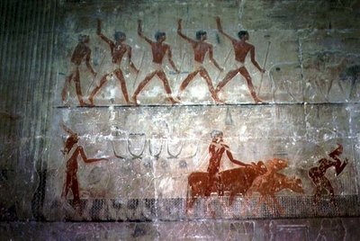 Men herding sheep and cattle from the Mastaba Chapel of Ti, Old Kingdom by Egyptian 5th Dynasty