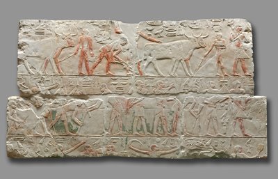 Relief of Agricultural Scenes from Saqqara by Egyptian 6th Dynasty