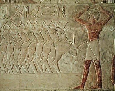 Relief Depicting a Drover Encouraging a Group of Cattle, from the Mastaba of Mereruka, Old Kingdom by Egyptian 6th Dynasty Egyptian 6th Dynasty